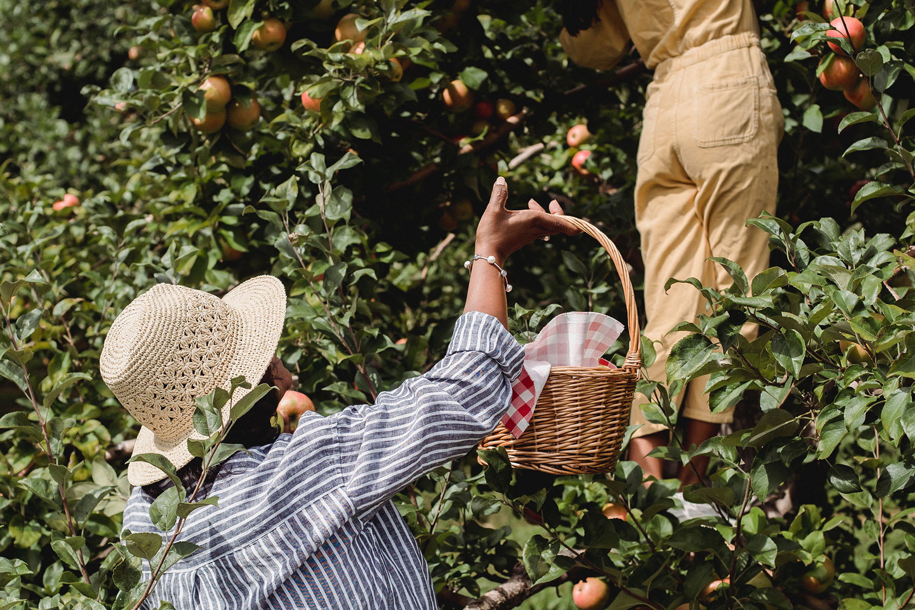 Pajottenlander producten